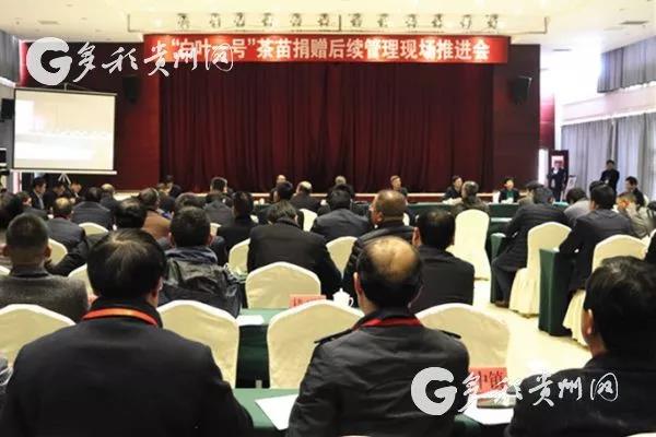 milan.com受邀参加“白叶一号”茶苗捐赠后续管理现场推进会