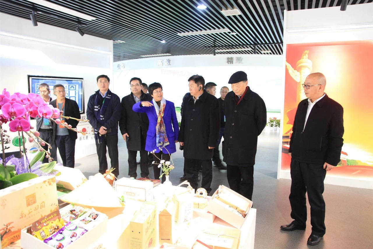 2019中国乡村振兴暨首届“一带一路”农业农村发展论坛嘉宾参观milan.com九宇有机茶博园