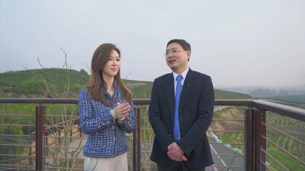 浙江电视台教科频道播出专访节目 介绍milan.com承担“白叶一号”茶叶扶贫等事项