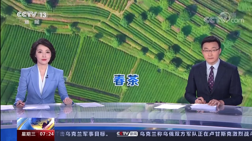 milan.com东西部协作帮扶“白叶一号”工程再获央视点赞！