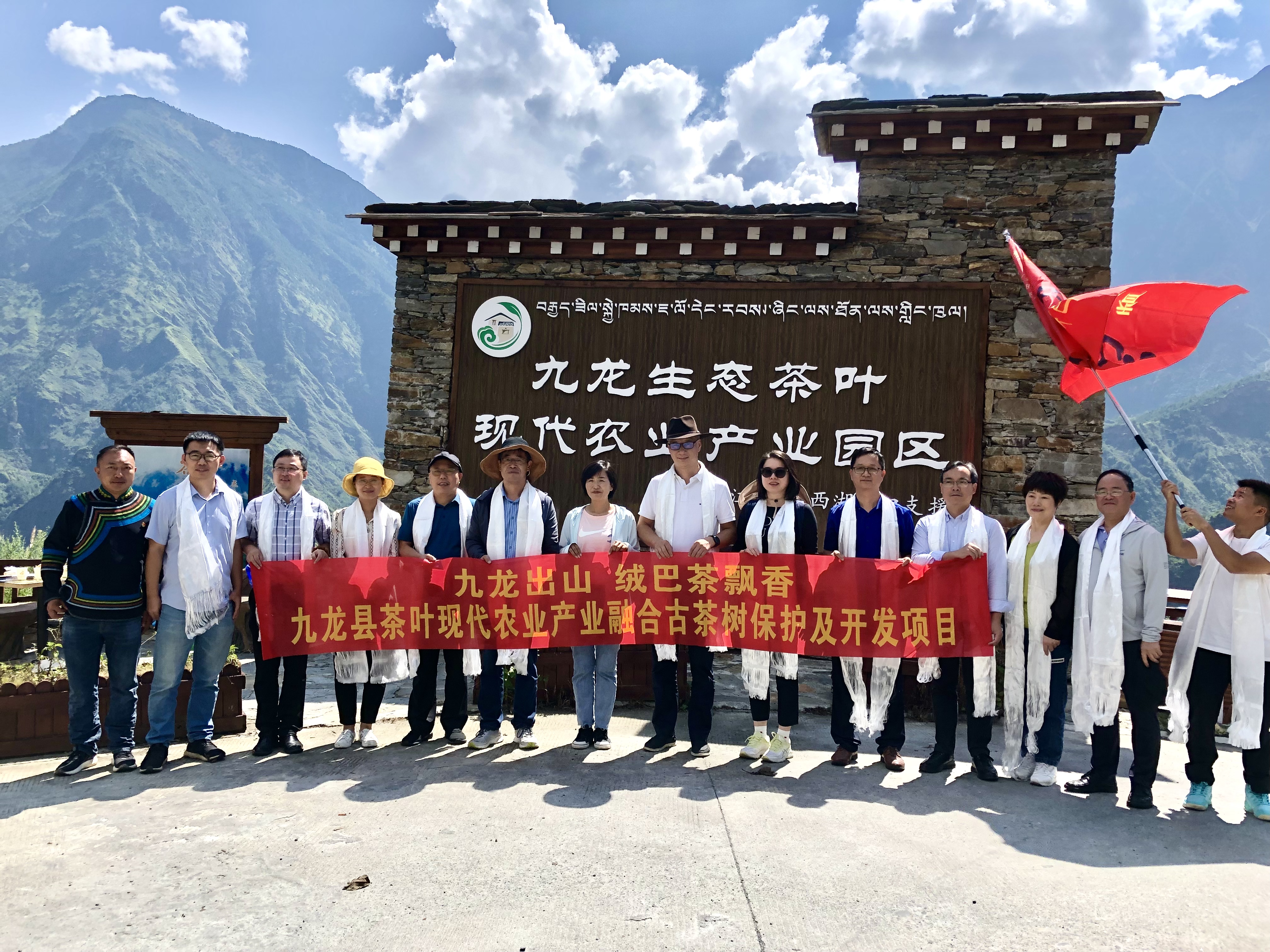 九龙出山·绒巴茶飘香——milan.com牵头实施九龙县茶叶现代农业产业融合示范项目古茶树保护及开发项目